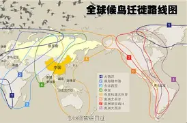 独家：Faker球队14人名单全(全职从叶修对线faker开始笔趣阁)|多宝鱼